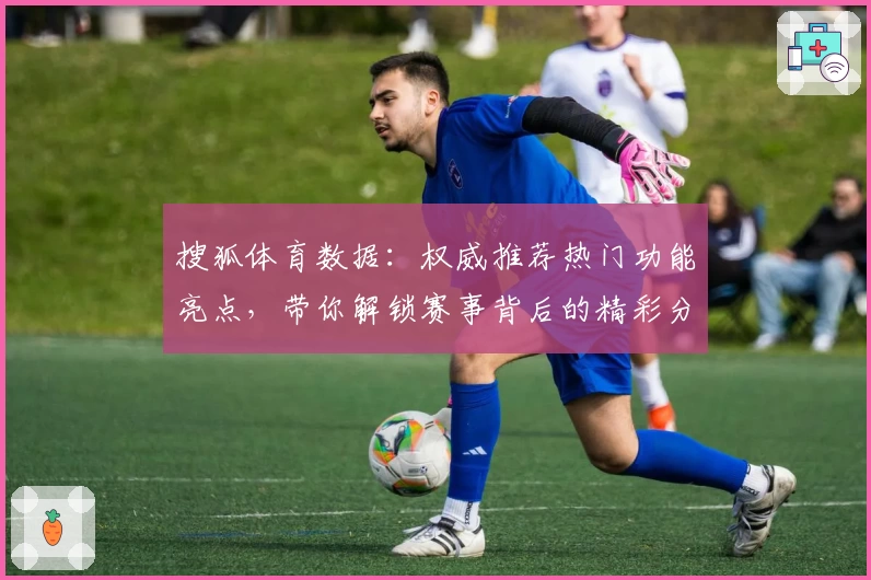 搜狐体育数据：权威推荐热门功能亮点，带你解锁赛事背后的精彩分析