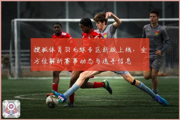 搜狐体育羽毛球专区新版上线,全方位解析赛事动态与选手信息
