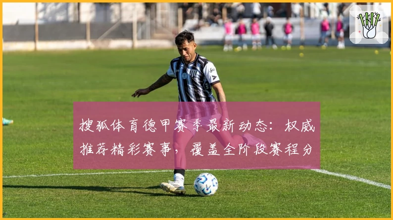 搜狐体育德甲赛季最新动态：权威推荐精彩赛事，覆盖全阶段赛程分析
