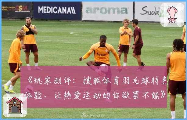 《玩家测评：搜狐体育羽毛球特色体验，让热爱运动的你欲罢不能》