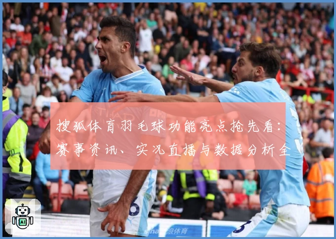 搜狐体育羽毛球功能亮点抢先看：赛事资讯、实况直播与数据分析全方位体验