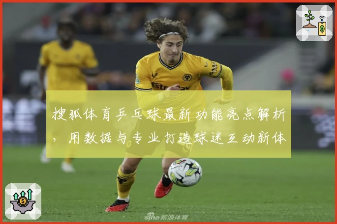 搜狐体育乒乓球最新功能亮点解析，用数据与专业打造球迷互动新体验