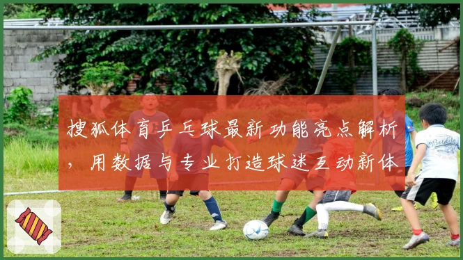 搜狐体育乒乓球最新功能亮点解析，用数据与专业打造球迷互动新体验