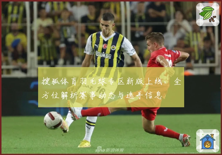 搜狐体育羽毛球专区新版上线，全方位解析赛事动态与选手信息