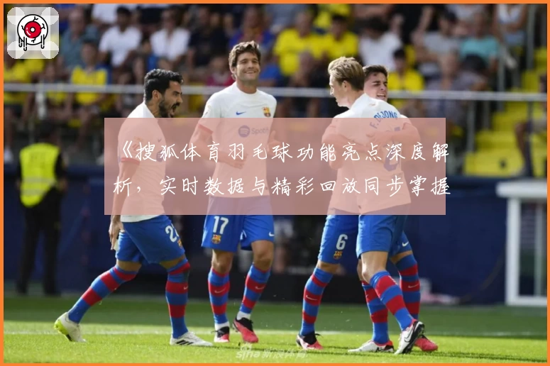 《搜狐体育羽毛球功能亮点深度解析，实时数据与精彩回放同步掌握》