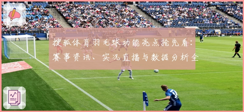 搜狐体育羽毛球功能亮点抢先看：赛事资讯、实况直播与数据分析全方位体验