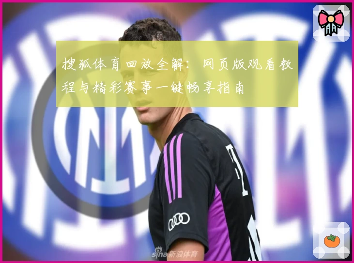 搜狐体育回放全解：网页版观看教程与精彩赛事一键畅享指南