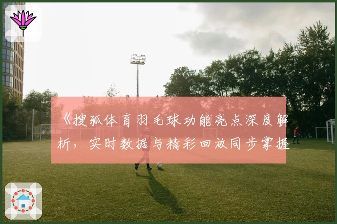 《搜狐体育羽毛球功能亮点深度解析，实时数据与精彩回放同步掌握》